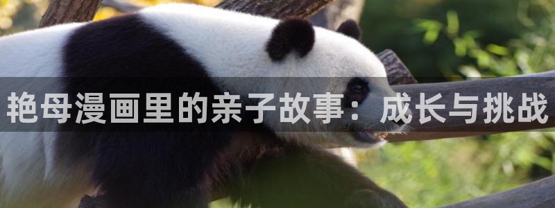 动漫天堂从哪下载安装：艳母漫画里的亲子故事：成长与挑战